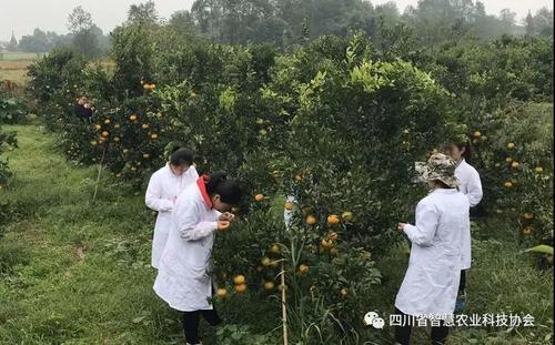 微信图片_20181120130116.jpg