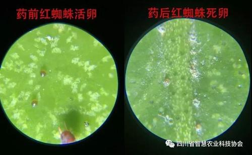 微信图片_20181120130124.jpg