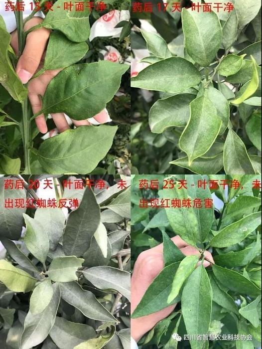 微信图片_20181120130136.jpg