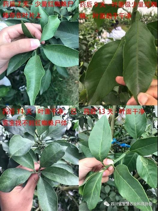 微信图片_20181120130133.jpg