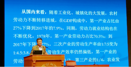 图片04.png