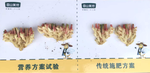 图片6.png